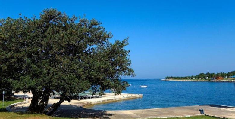 Apartments Eliva Ουμάγκ Εξωτερικό φωτογραφία